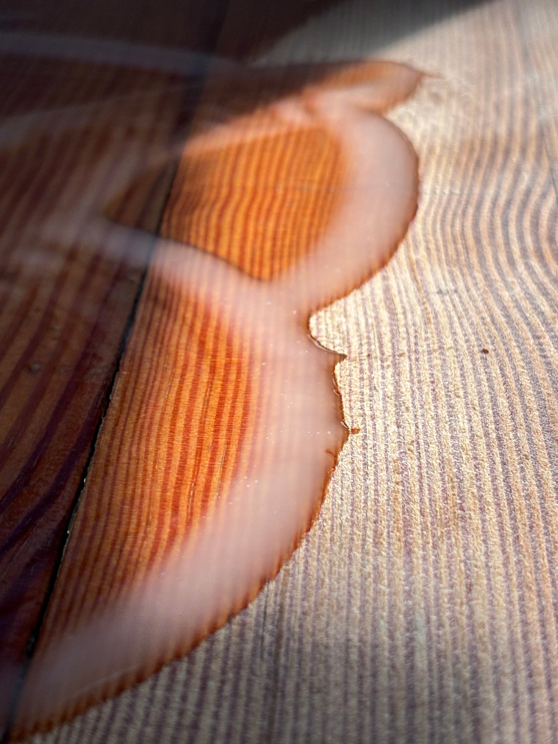 close up of hard wax oil shown on wood surface